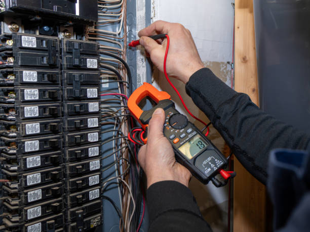 Best Electrical Repair Services  in Cedar Grove, FL